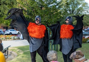 Performers Bruce and Batty are dressed as flying-foxes with their fluffy orange, grey and black constumes wings stretched out.