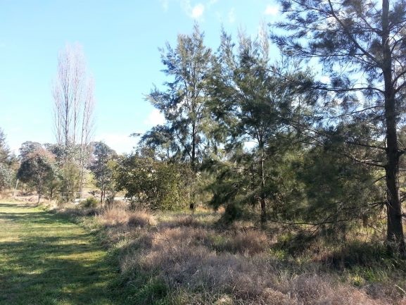 Jaques Park