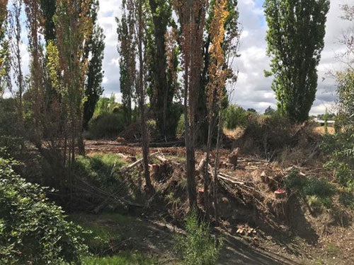 Queen Charlottes Vale Creek Post Weed Control