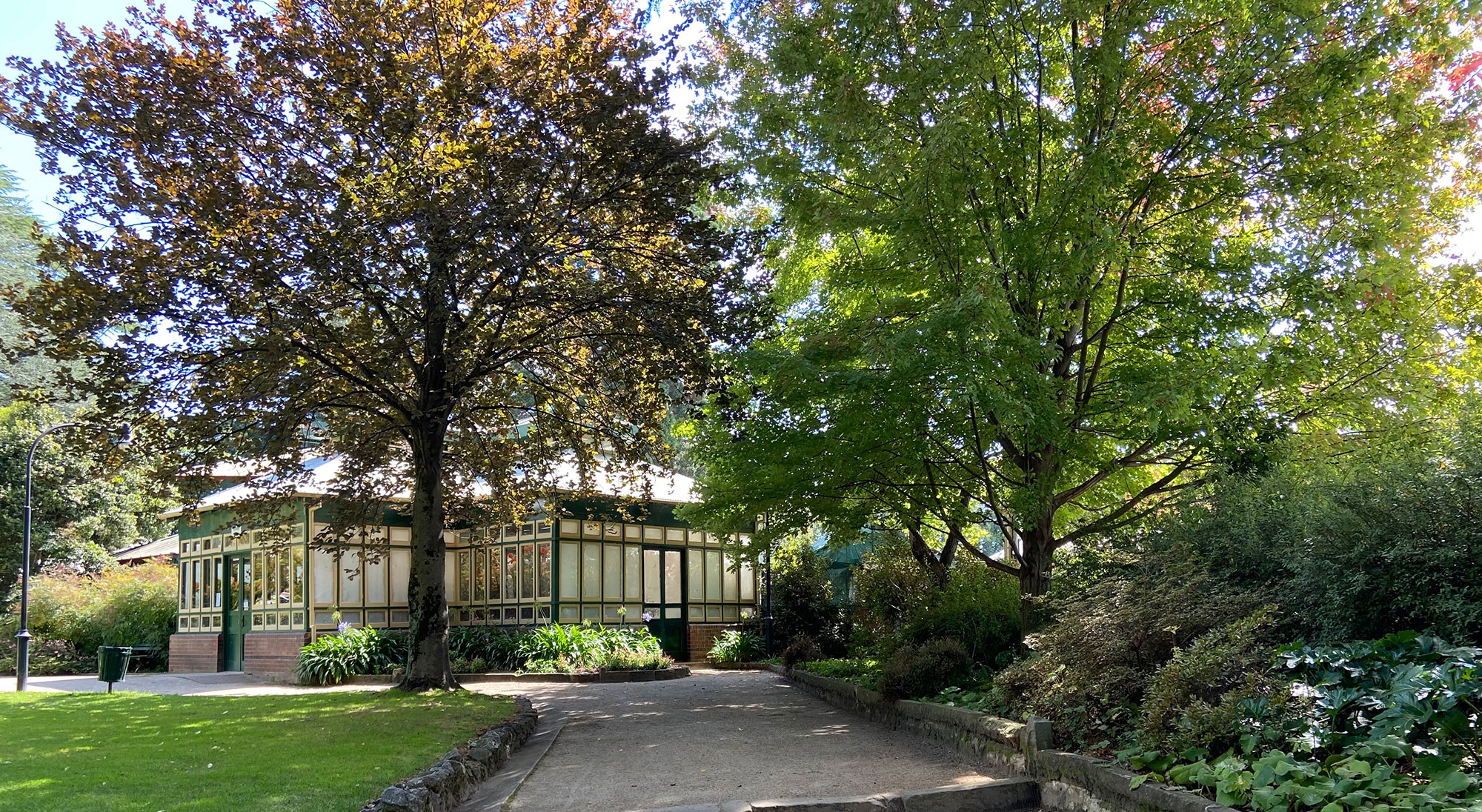 Heritage Trees