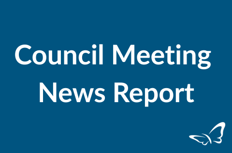 Council News Report Tile