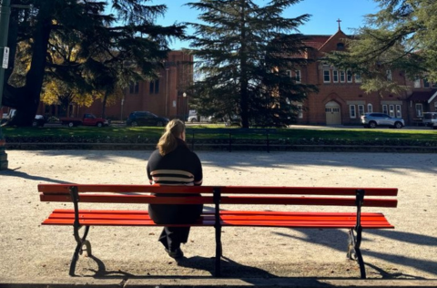 RedBenchProject