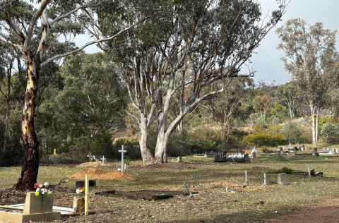 Rural Cemetery