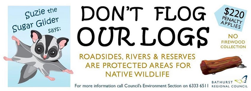 Don't flog our logs