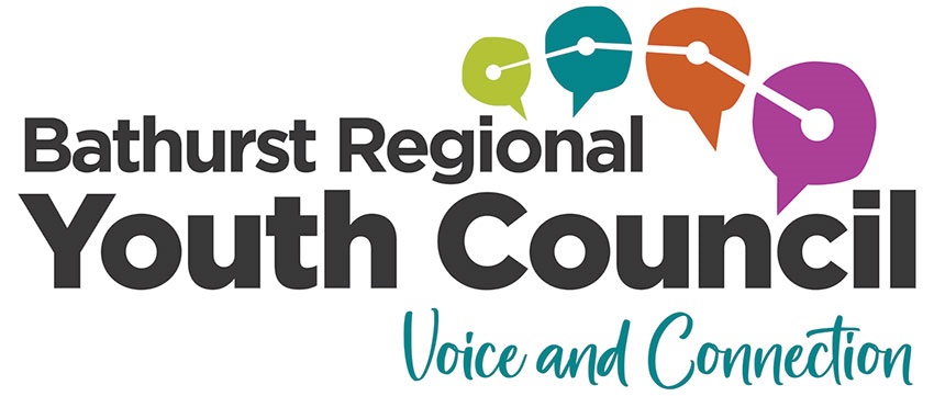 Youth Council Logo